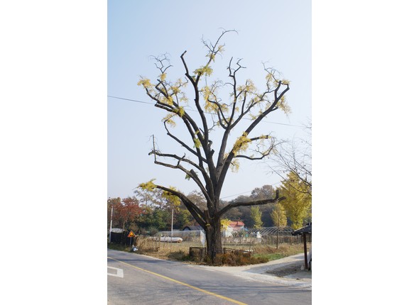 남종면 검천2리