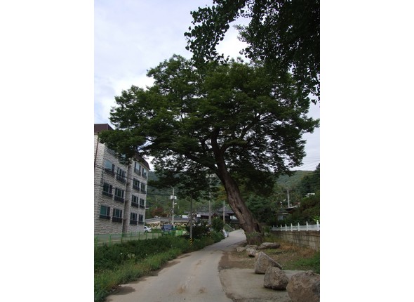 중대동텃골 입구