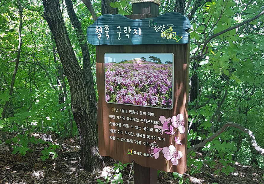 철쭉군락지 사진