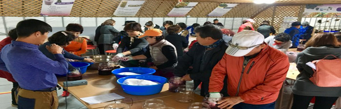 곤지암베리팜 전경6