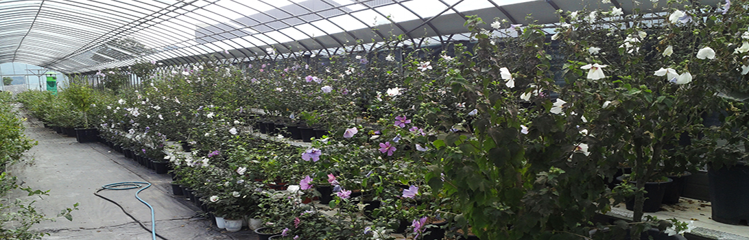 곤지암베리팜 전경7