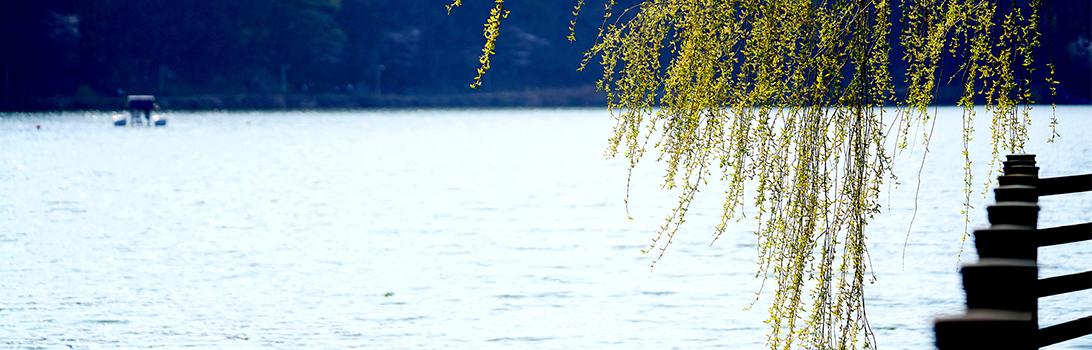 중대물빛공원 전경5