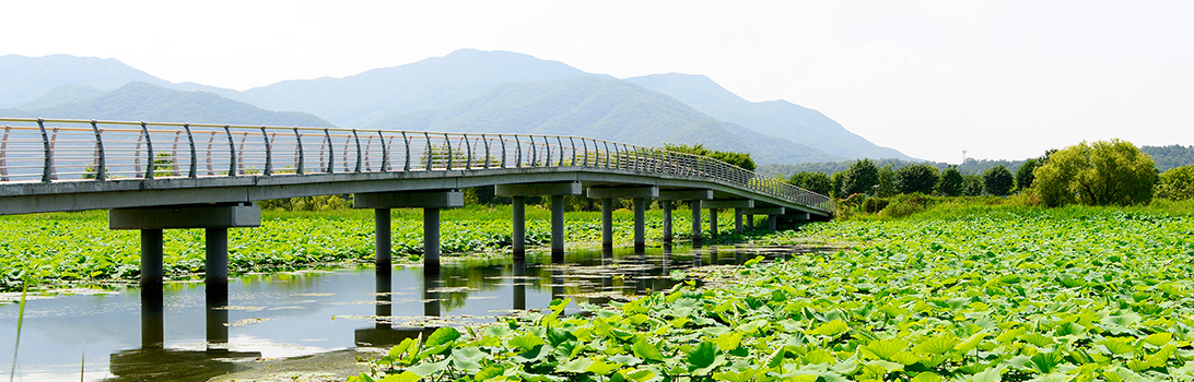 팔당물 안개공원 전경3