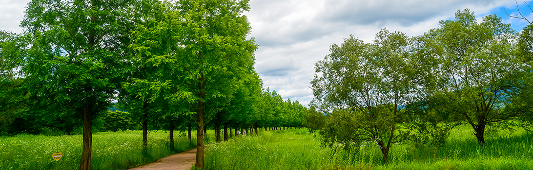 팔당물 안개공원 전경6